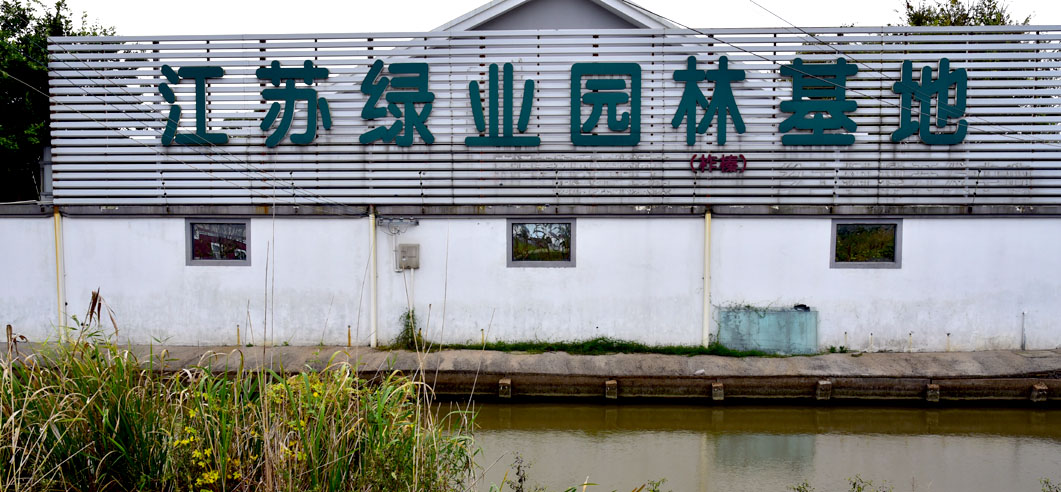 江蘇綠業(yè)園林基地